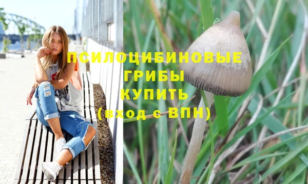 марихуана Дмитриев