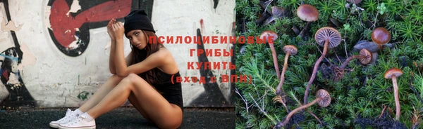 метадон Дмитров