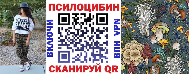 Галлюциногенные грибы мухоморы  Купить где  Кашин 